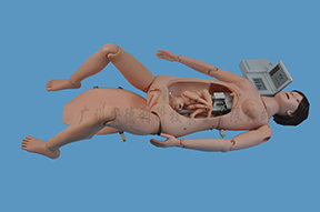 产妇分娩与急救模拟人