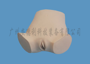 妇科训练模型