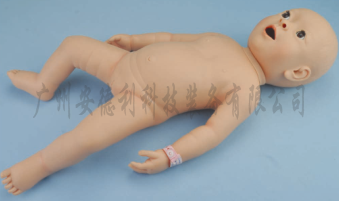 婴儿灌肠导尿模型