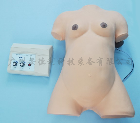 高级孕妇腹部触诊模型