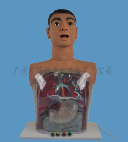 多功能透明洗胃模型