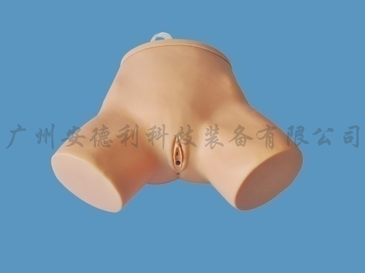 导尿模型