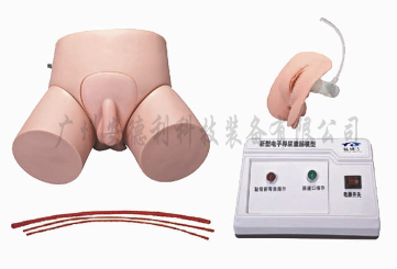 电子导尿与灌肠练习模型
