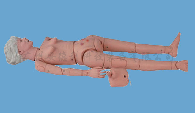 老年护理模拟人