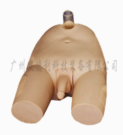 膀胱穿刺模型