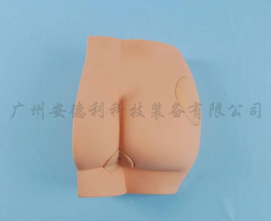 臀部注射模型