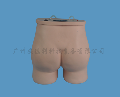 臀部肌肉注射训练模型