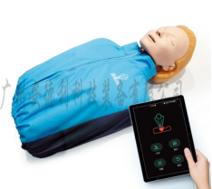 基础版心肺复苏模拟人