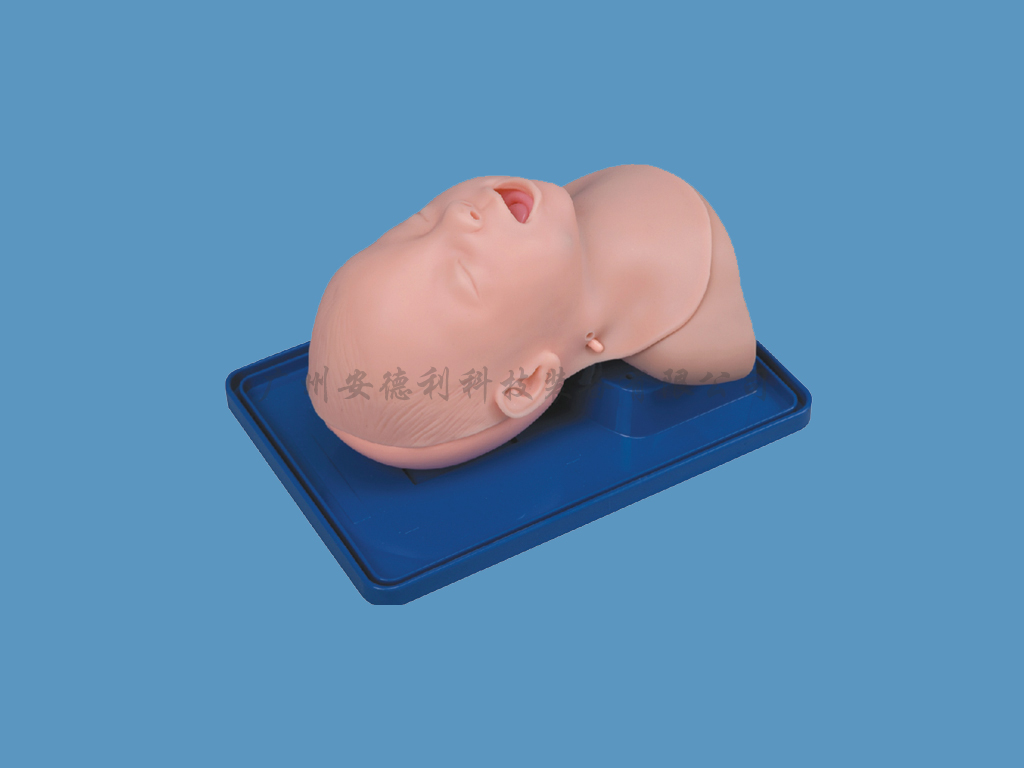 婴儿气管插管训练模型