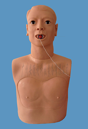 成人气道梗塞及CPR模型