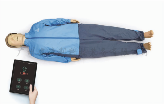 标准版心肺复苏模拟人