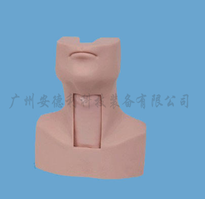 气管切开插管训练模型