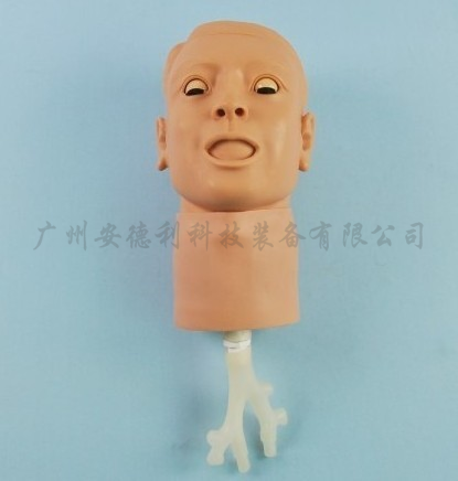 环甲膜穿刺及气管切开练习模型