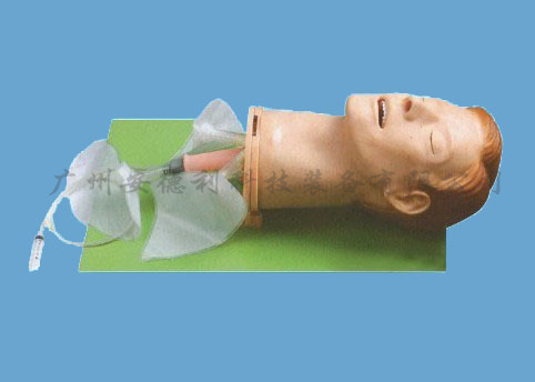 高级多功能气道模型