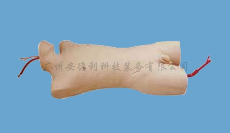 全功能静脉穿刺仿真标准化病人