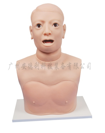 声带肿瘤检查模型