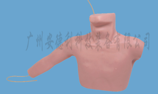 外周及中心静脉插管（PICC线）模型