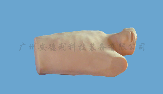 心包穿刺与心内注射训练模型