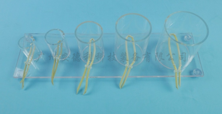 深部张力打结技能训练模型