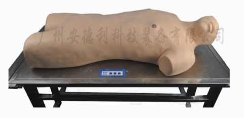 综合穿刺术与叩诊检查技能训练模型