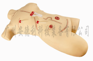 缝合包扎展示模型