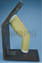 肘关节腔内注射模型