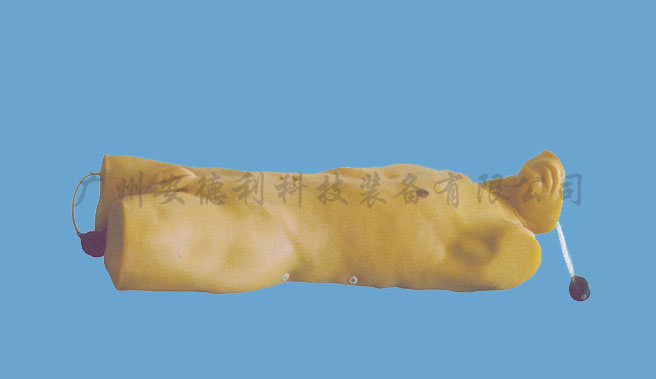胸腔闭式引流术训练模型