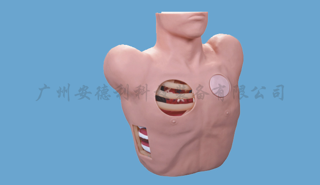 胸腔闭式引流模型