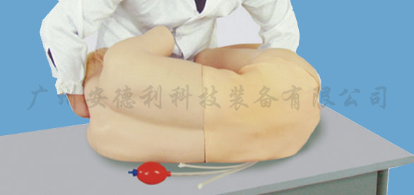 腰椎穿刺训练模型