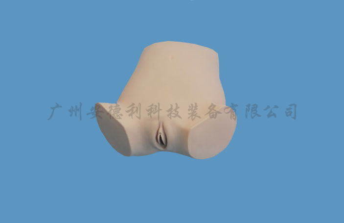 腹腔穿刺模型（带电子检测）