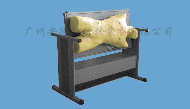 腹部移动性浊音叩诊与腹腔穿刺训练模型