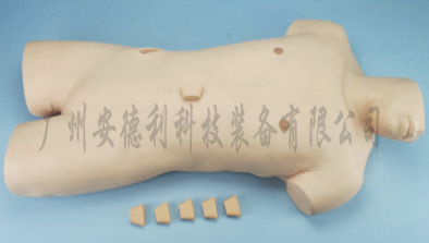 骨髓穿刺训练模型