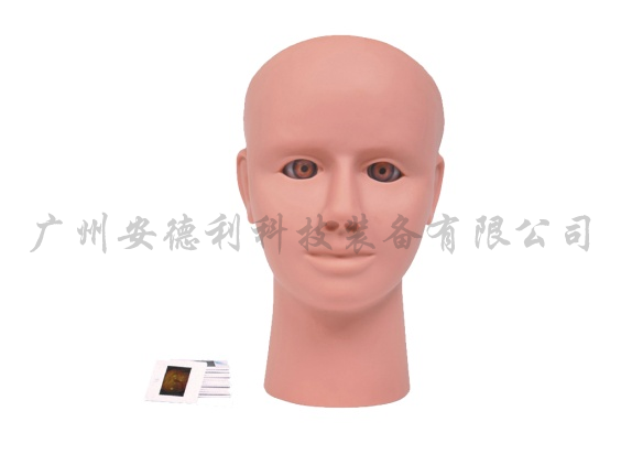 高级眼视网膜病变检查模型