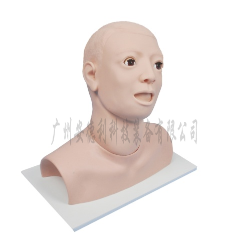 高级耳冲洗模型