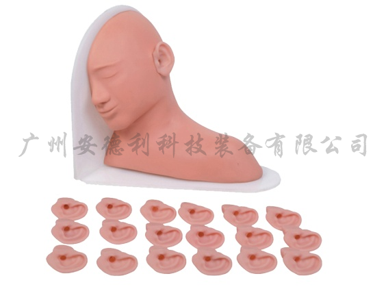 高级耳部检查模型