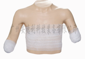 高级高位包扎模型