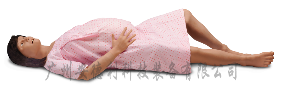 产妇综合模拟人