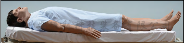 急救型男性生理模拟人