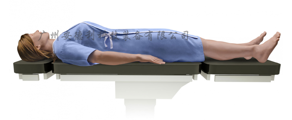 高仿真生理驱动模拟人