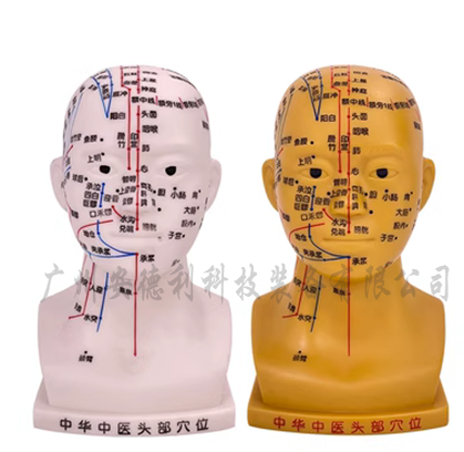 头针灸模