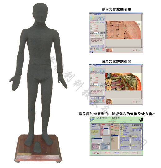 按摩点穴电子人体模型