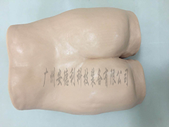 臀部针灸训练模型