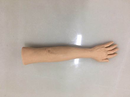 针灸训练手臂模型